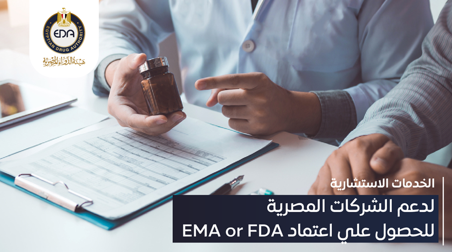الخدمات الاستشارية